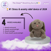 The Zleep™ Breathing Koala